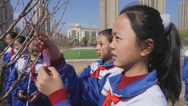 幸福的种子（内心的绿洲）